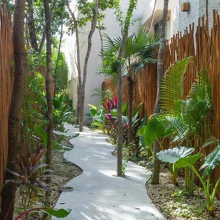 Illuminated Space & Private Pool * Tulum