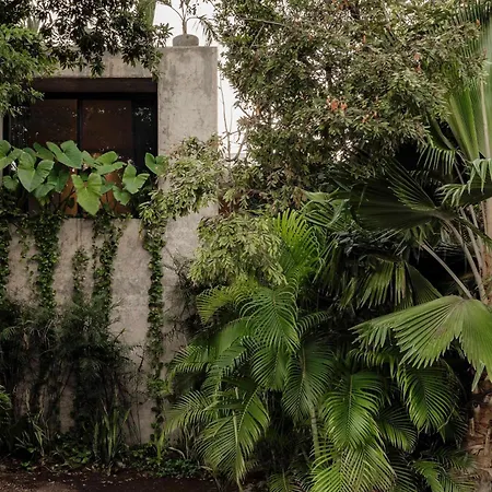 Tulum's Famous Architectural Gem * Tulum