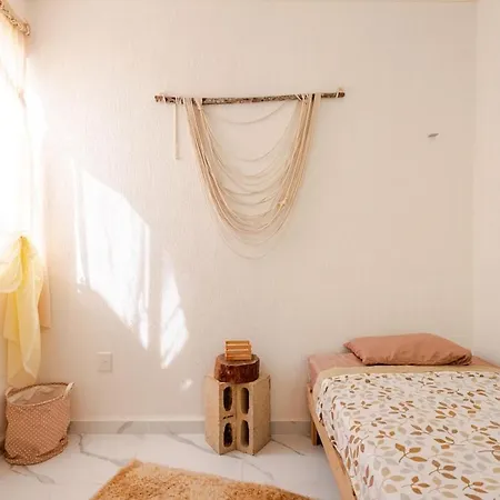 Apartment Hippie Artisan Jungle Flat Pool