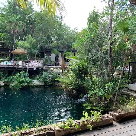 Hippie Artisan Jungle Flat Pool *