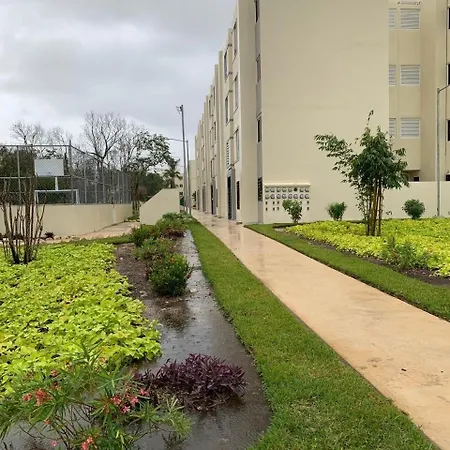 Apartment Hippie Artisan Jungle Flat Pool