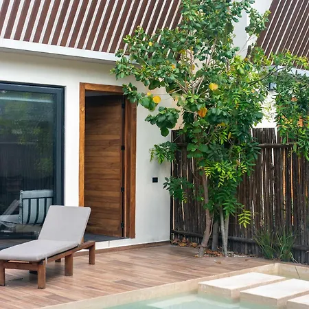 Villa Perfect For Large Groups A La Veleta Sanctuary Tulum