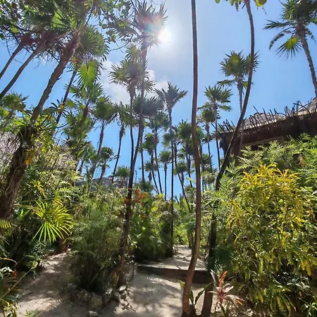 Tiktok Lounge Sunrise Haven * Tulum