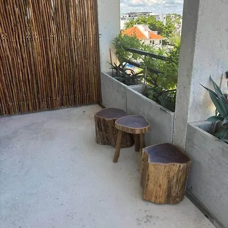 Apartment Soko *