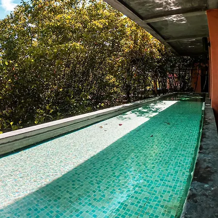 Hotel Caiman Habitat 5*