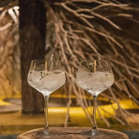 Jungle Luxury Romantic Club Private Pool Apartamento Tulum