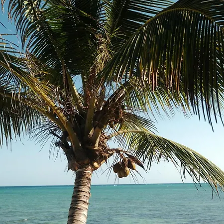 Kaoba Oceanfront Residences * Tulum
