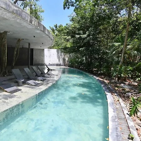 Apartment Jungle Sanctuary With *