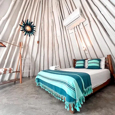 Hostel Mimosa *