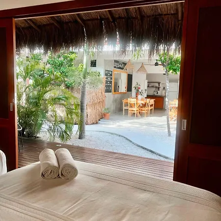 Mimosa Hostel