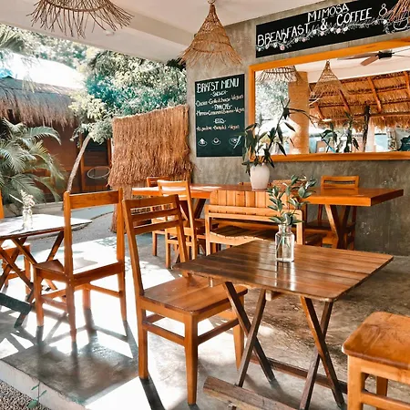Hostel Mimosa