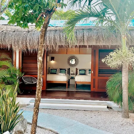 Mimosa * Tulum