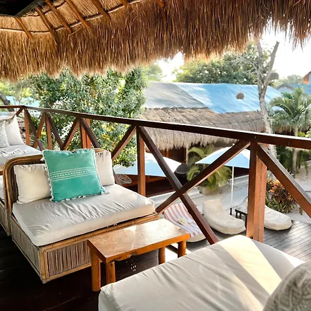 Mimosa Hostel *