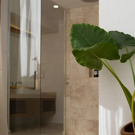 Selva Alta Penthouse Private Rooftop Apartment Tulum