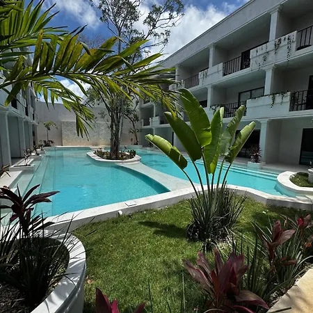 Jungle Loft With Pool And Rooftop Near And Cenotes And Dowtown! Fast Wifi! Perfect For Expats *