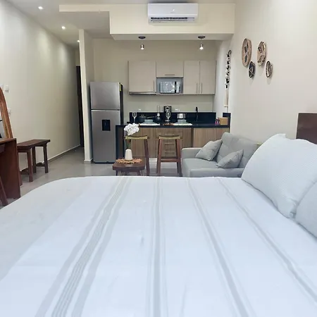 Departamento En Tulum, Solum Living