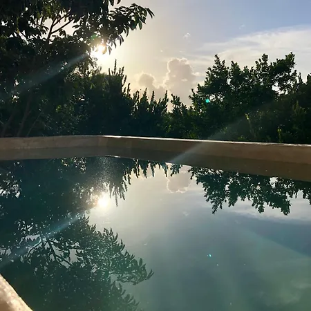 Villa Casa Hibiscus Sky-high Pool With Birds Above The Jungle