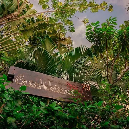 Villa Casa Hibiscus Sky-high Pool With Birds Above The Jungle Tulum