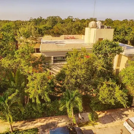 Casa Hibiscus Sky-high Pool With Birds Above The Jungle Tulum