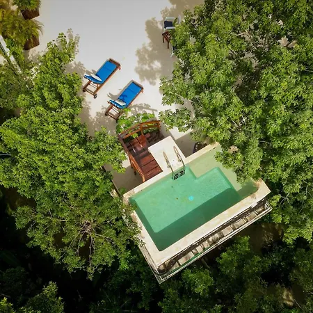 Casa Hibiscus Sky-high Pool With Birds Above The Jungle Villa