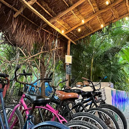 Maui Hostal *