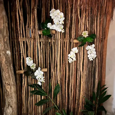 Medaya Refugio * Tulum