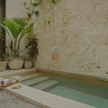 Apartment Unforgetable Outing With Private Pool