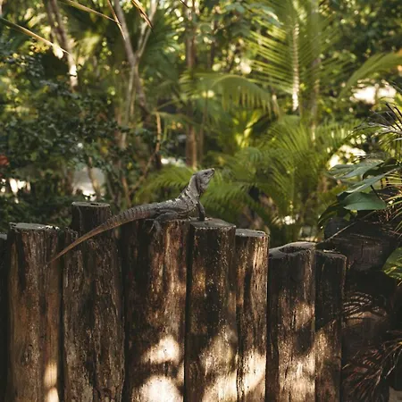 Sacred Hideaways * Tulum