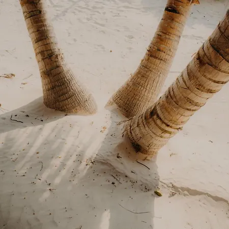 Sacred Hideaways * Tulum
