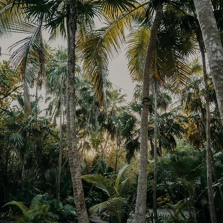 Sacred Hideaways Tulum