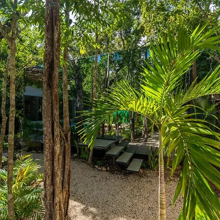 Chay Glass Jungle House Apartamento Tulum