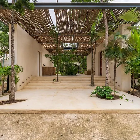 Chay Glass Jungle House