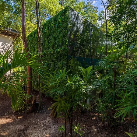 Apartamento Chay Glass Jungle House