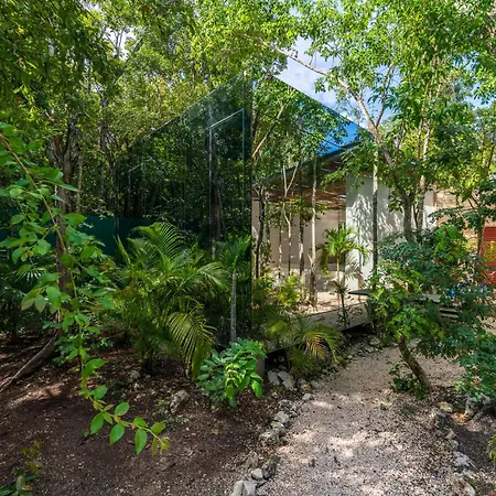 Chay Glass Jungle House
