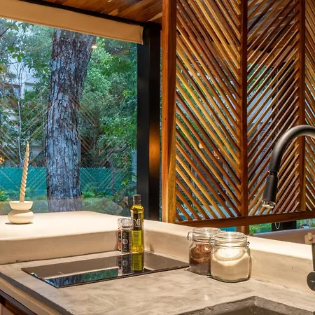 Chay Glass Jungle House