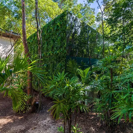 Chay Glass Jungle House Apartamento Tulum