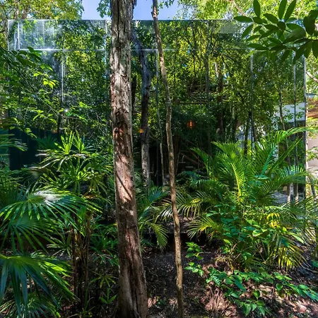 Chay Glass Jungle House