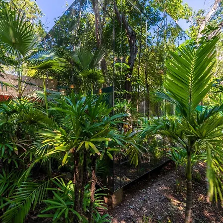 Chay Glass Jungle House Apartamento *