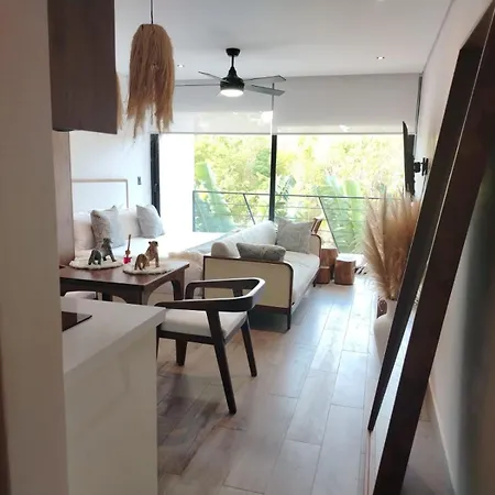 Apartment Enmedio De La Zona Hotelera Y El Centro Tulum