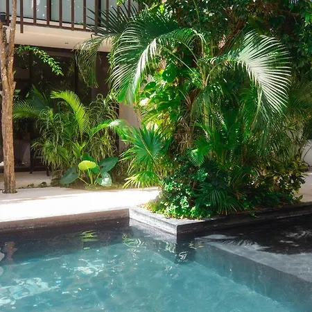 Apartment Ph With Private Pool, Total Relaxation In Tulum