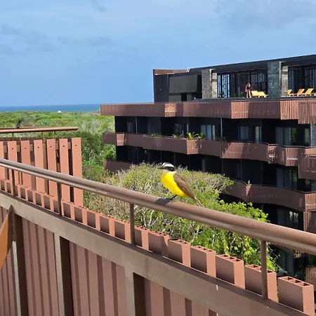 Apartment Private Pool In Zone - Free Club Access *