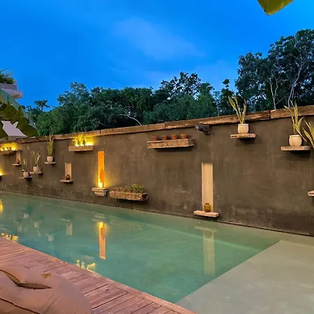 Apartment La Veleta, Pet Friendly Studio,laundry ,wifi 250mb,alberca Tulum
