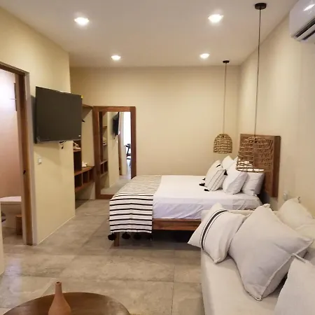 La Veleta, Pet Friendly Studio,laundry ,wifi 250mb,alberca Apartment