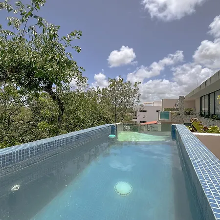 Apartment Penthouse De Dos Pisos Con Alberca Privada En La Veleta