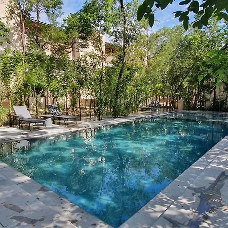 With A Private Pool Villa Tulum