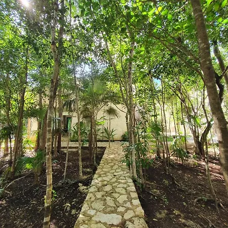 With A Private Pool Tulum