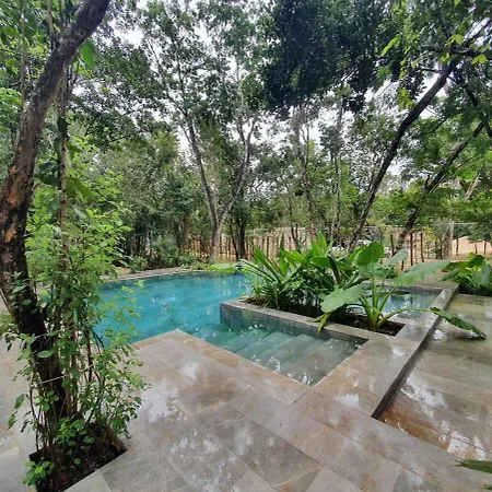 With A Private Pool