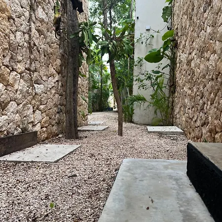 Zenda - Luxury Private Tulum