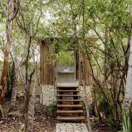 Private Jungle - Pool & Concierge For 21 * Tulum