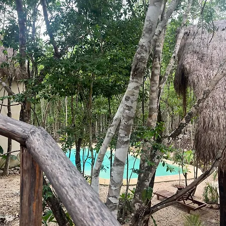 Sak Lool Tulum